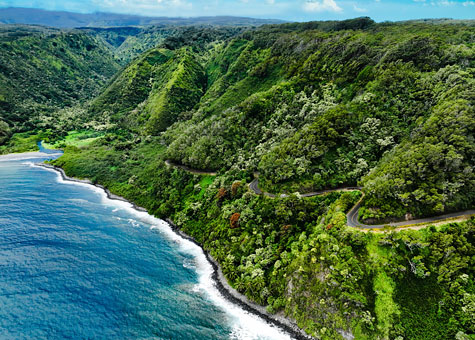 close up of child's face