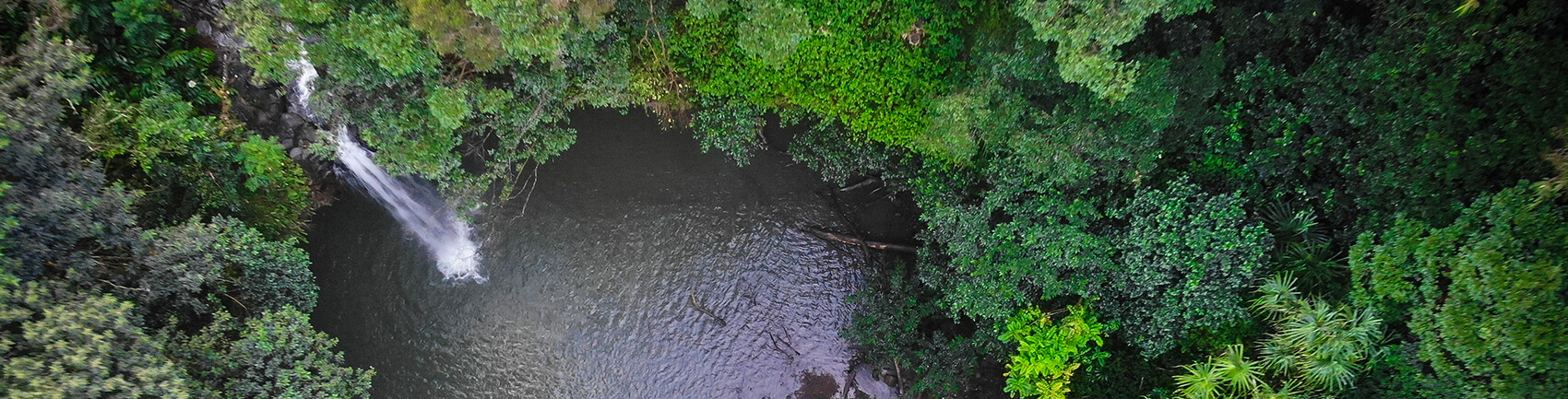 Maui waterfall