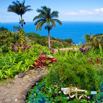 garden-of-eden-arboretum-360X360.jpg
