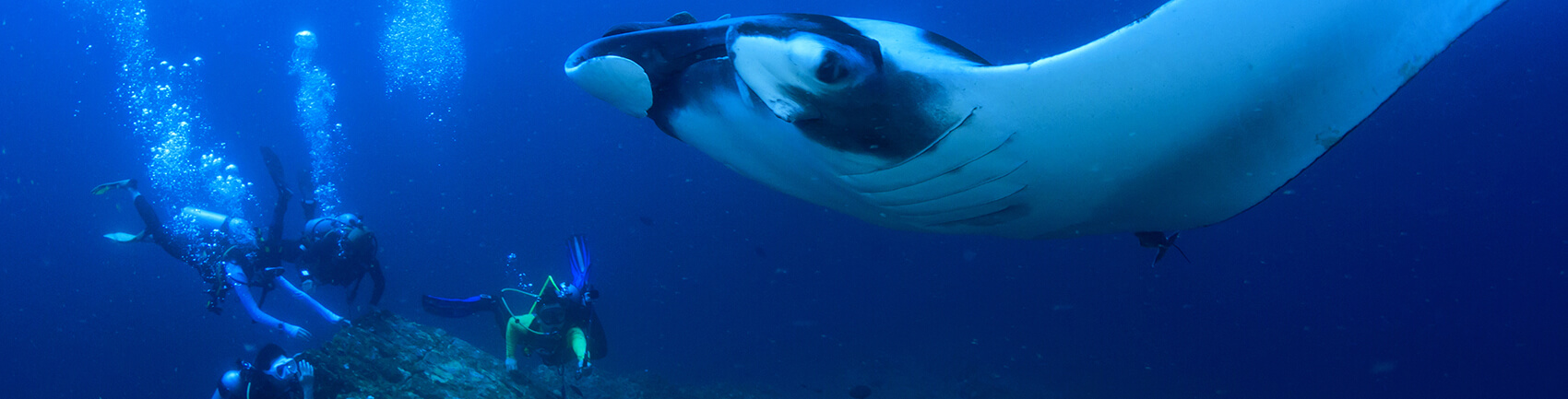 Molokini and the Turtle Arches | Aqua-Aston Hotels